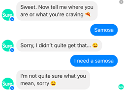 Screenshot of a chatbot conversation